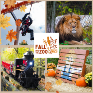 Binder Park Welcome Fall