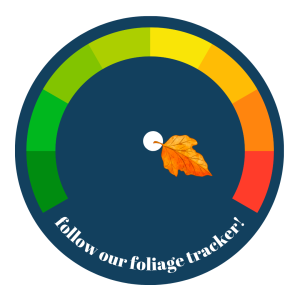 Foliage Tracker 10-9-26