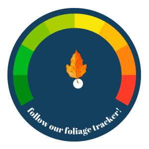 Foliage Tracker Sept. 29