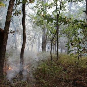 Lake Carl Blackwell | Visit Stillwater