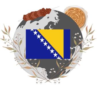 Bosnia Graphic