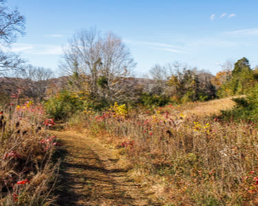 Melton Hill Park