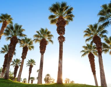 Greater Palm Springs Hotels Restaurants Things To Do Events