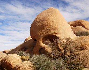 Visit Joshua Tree National Park