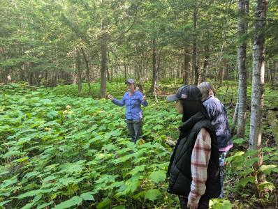 Thimbleberry Festival Hike