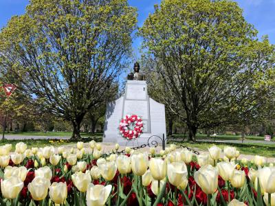 Henry Johnson in Washington Park