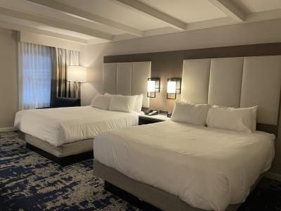 The Crowne Plaza Albany - The Desmond