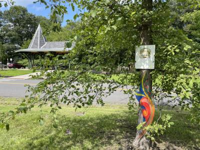 Albany County Helderberg-Hudson Rail Trail