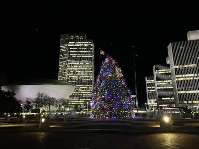 New York State Holiday Tree at Empire State Plaza