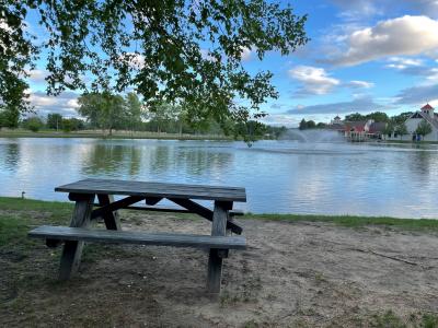 The Crossings of Colonie