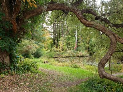 Pine Hollow Arboretum