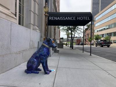 Renaissance Hotel Albany Nipper