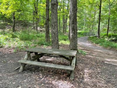 John Boyd Thacher State Park picnic table