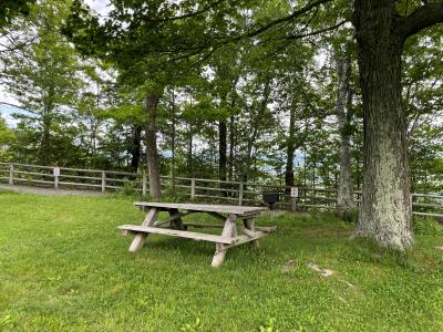 John Boyd Thacher State Park picnic table