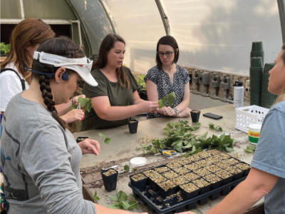 Four women gather around in a greenhouse to discuss native plants.