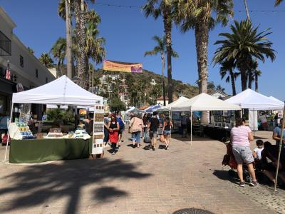 Catalina Festival of Art