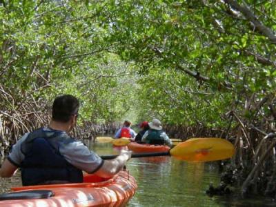 Group kayaking the Wolverton Trail near Placida: Charlotte Harbor Blueway Trail System