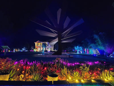 Plants, trees, and Steel Palm sculpture at Peace River Botanical & Sculpture Gardens lit up for December Gardens Aglow Event