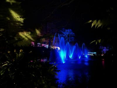 Colchester Zoo: Enchanted Trail of Light Water Fountains