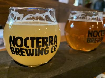 Rounded beer glasses full of brew at Nocterra Brewing Co