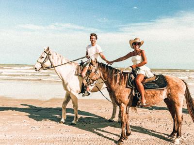 horses on the beach