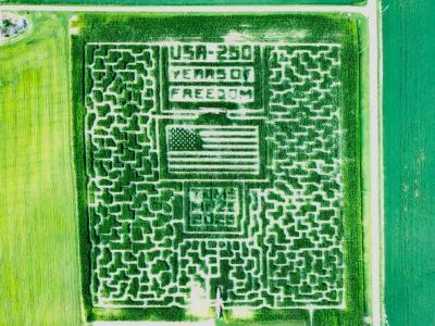 Tom's Maze 2026