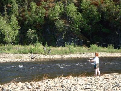 A woman fly fishing along a river