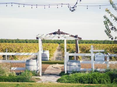 White fence and arch in front of fall vineyard with streams of lights hanging over grass area in front. Sign reading "Moravia Vineyard Chapel"