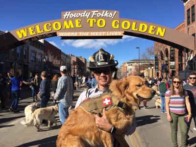 Goldens in Golden Firefighter