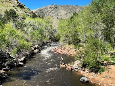 Clear Creek in Spring