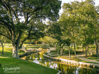 Wallpaper - Tablet - Park