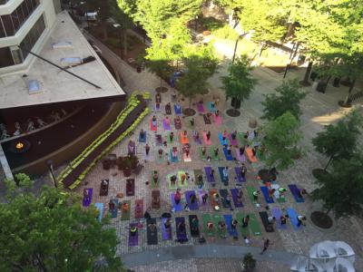 Yoga in NOMA Square