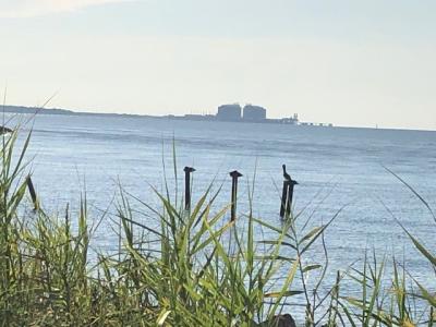 Pointe Park Pascagoula - Karen H Dawson