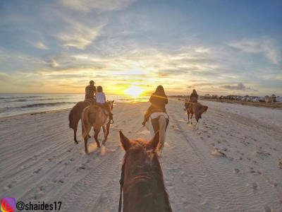 Horseback Riding