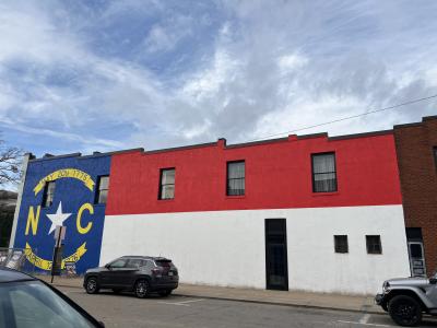 NC State Flag Mural