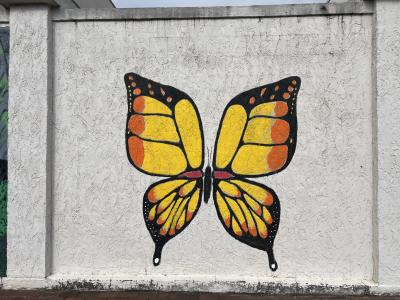 Butterfly Wings Mural