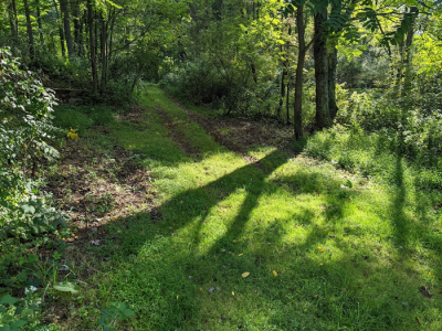 Old-Lane-Campsite-at-Phoenix-Farm