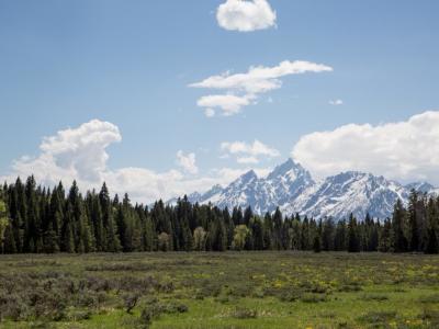 Grand Tetons