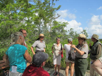 Barataria Preserve Jean Lafitte National Historical Park