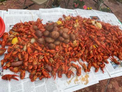 Crawfish