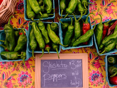 Hot peppers for sale at the Clayton Farm & Community Market, Clayton NC.