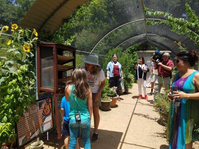 Heard Museum-butterfly garden