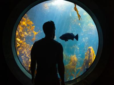 Callum Snape Aquarium Photo