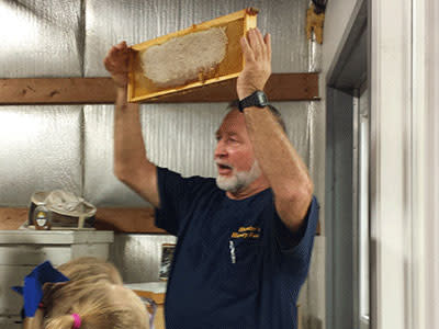 Let the experts explain how honey is harvested...