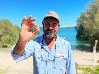 Willie Creek Pearls harvests a priceless pearl