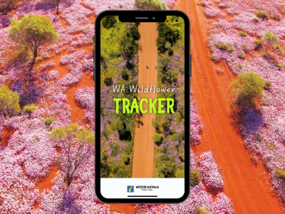 WA Visitor Centre launches free Wildflower Tracker app