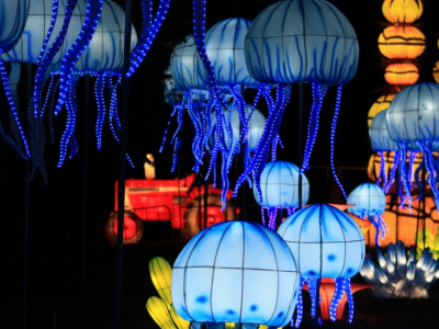 Jellyfish Lanterns at Autumn Glow