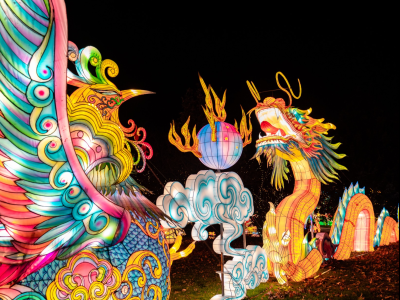 Dragon Lanterns