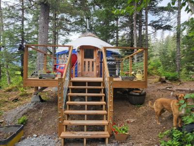 Fiddlehead Yurts