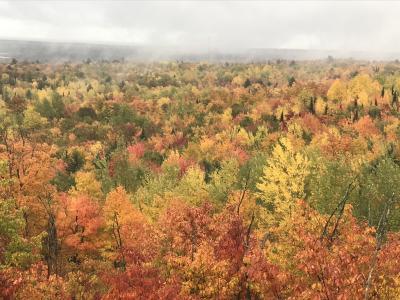 Seasons of Mists and Mellow Fruitfulness